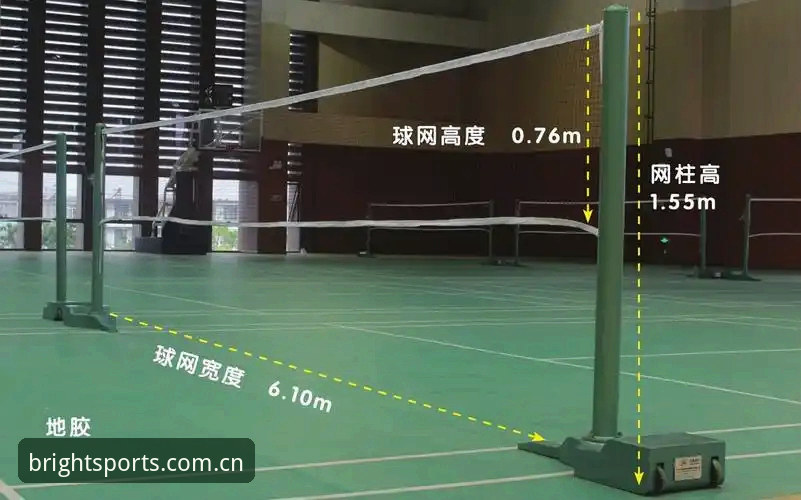 BSports下载 BSports体育平台下载与使用完整指南:从入门到精通的操作手册